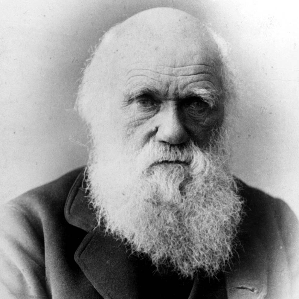 Charles Darwin Net Worth