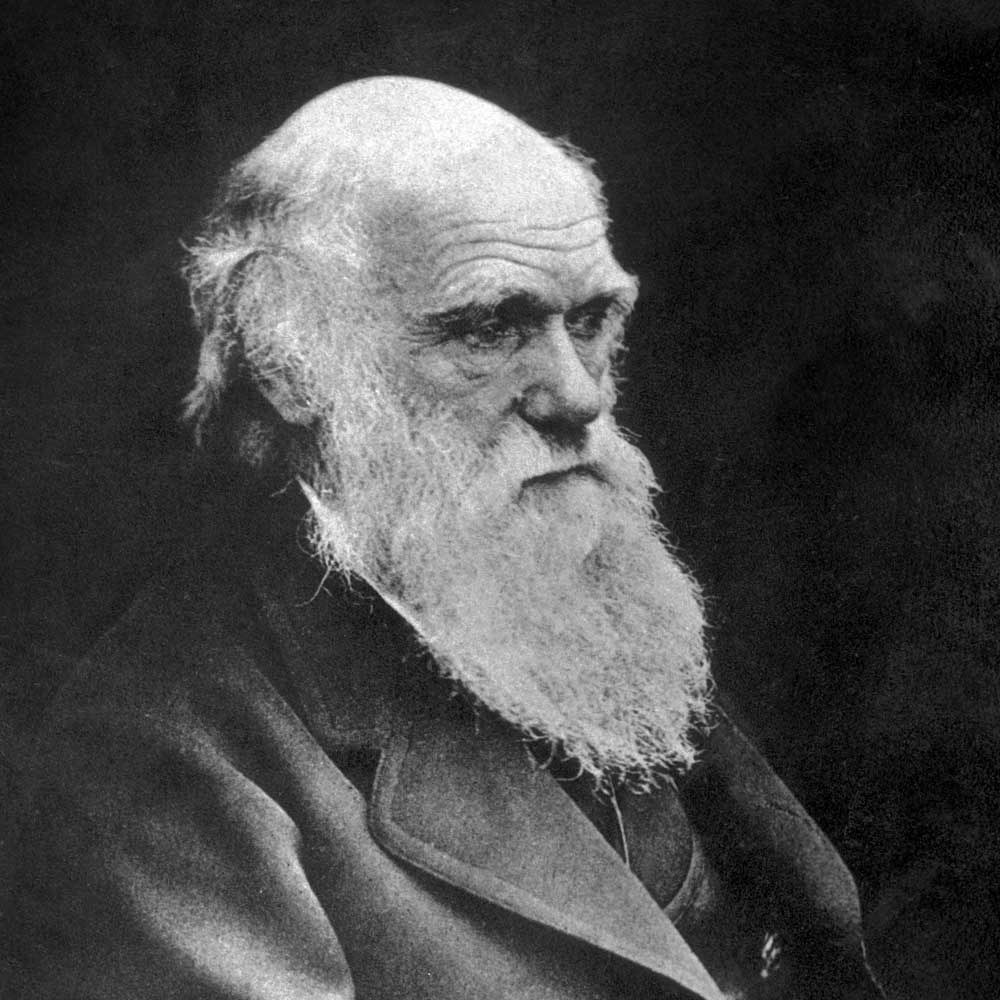 Charles-Darwin-1880-a.jpg